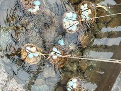 -天芳悦潭度假村温泉