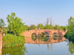 -白鹭湾湿地公园