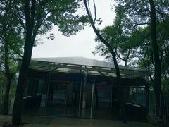 -石燕湖生态旅游景区