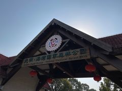 -上海海湾国家森林公园