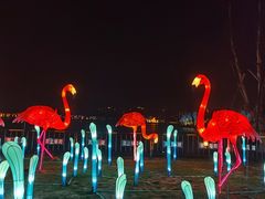 -桐乡凤凰湖