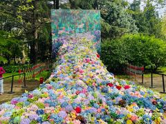 -上海共青森林公园