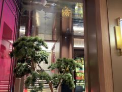 -老家水饺濮阳菜(巴黎街店)