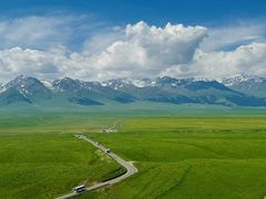 -草原黑森林碳烤羊腿(东大桥店)