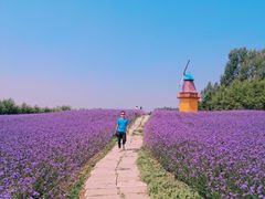 -北纬44度·金珠花海休闲农业旅游景区