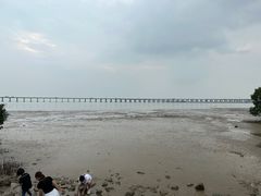 -宝安西湾红树林湿地公园