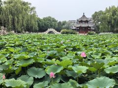 -莲池书院博物馆