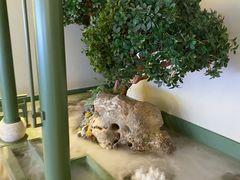 -潮上潮(南中环店)