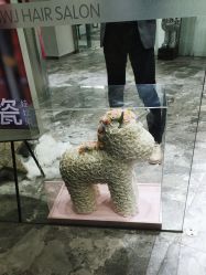 -时尚玩家发型设计