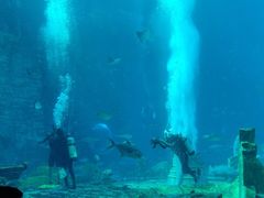 -亚特兰蒂斯•OSSIANO奥西亚诺海底餐厅