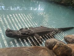 -龙脉温泉室内游泳馆