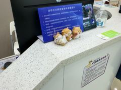 -瑞鹏宠物医院华南总院·夜诊·心脏科·骨科