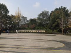 -重庆彩云湖湿地公园