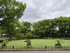 -申粤轩·手工点心·金牌烧味·经典粤菜(丁香花园店)