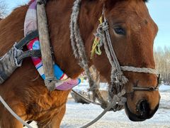 -北极村旅游风景区