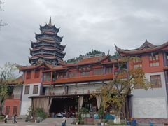 -铁山坪森林公园