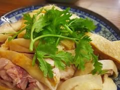 -九斤黄三黄鸡专卖店