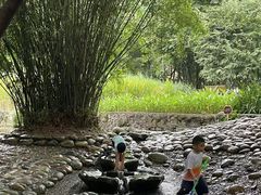 -成都市活水公园