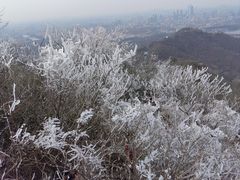 -紫金山山顶公园