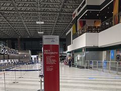 -米兰马尔彭萨国际机场