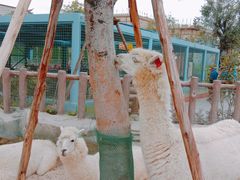 -广州融创文旅城