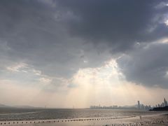-深圳湾公园(南山区)