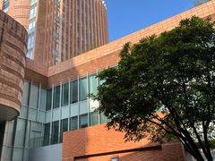 -香港大学