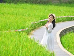 -龙头寺公园