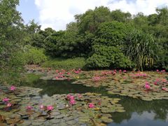 -白沙门生态公园