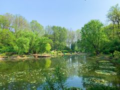 -棒棰岛宾馆景区