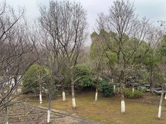 -武汉园博园(武汉自然博物馆)