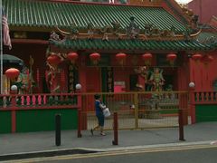 -罗汉果龙眼冰糖燉冬瓜