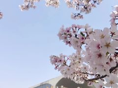 -龙美术馆(西岸馆)