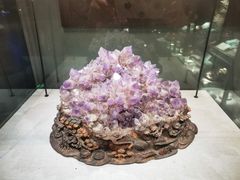 -武汉园博园(武汉自然博物馆)