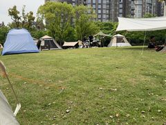 -新江湾城公园