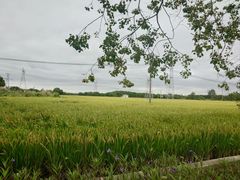 -嘉北郊野公园