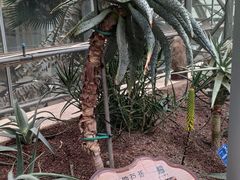 -南山植物园