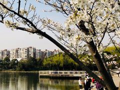 -新江湾城公园