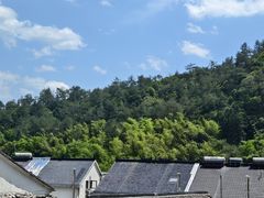 -芦茨金富饭庄·25年老字号·专做稻草鸡