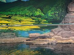 -上海海洋水族馆