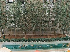 -中国银行(大连市分行)