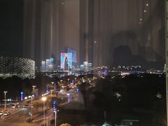 -苏州金鸡湖文博诺富特酒店
