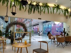 -猫域·湾主题猫咖·宠物吧(南坪城市广场店)