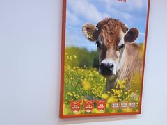 -韵味湘肴·小炒黄牛肉(五一广场美食地标店)