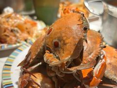 -吉布鲁牛排海鲜自助(成都大悦城店)