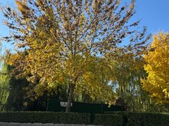 -玲珑塔公园