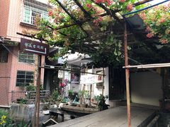 -小洲村