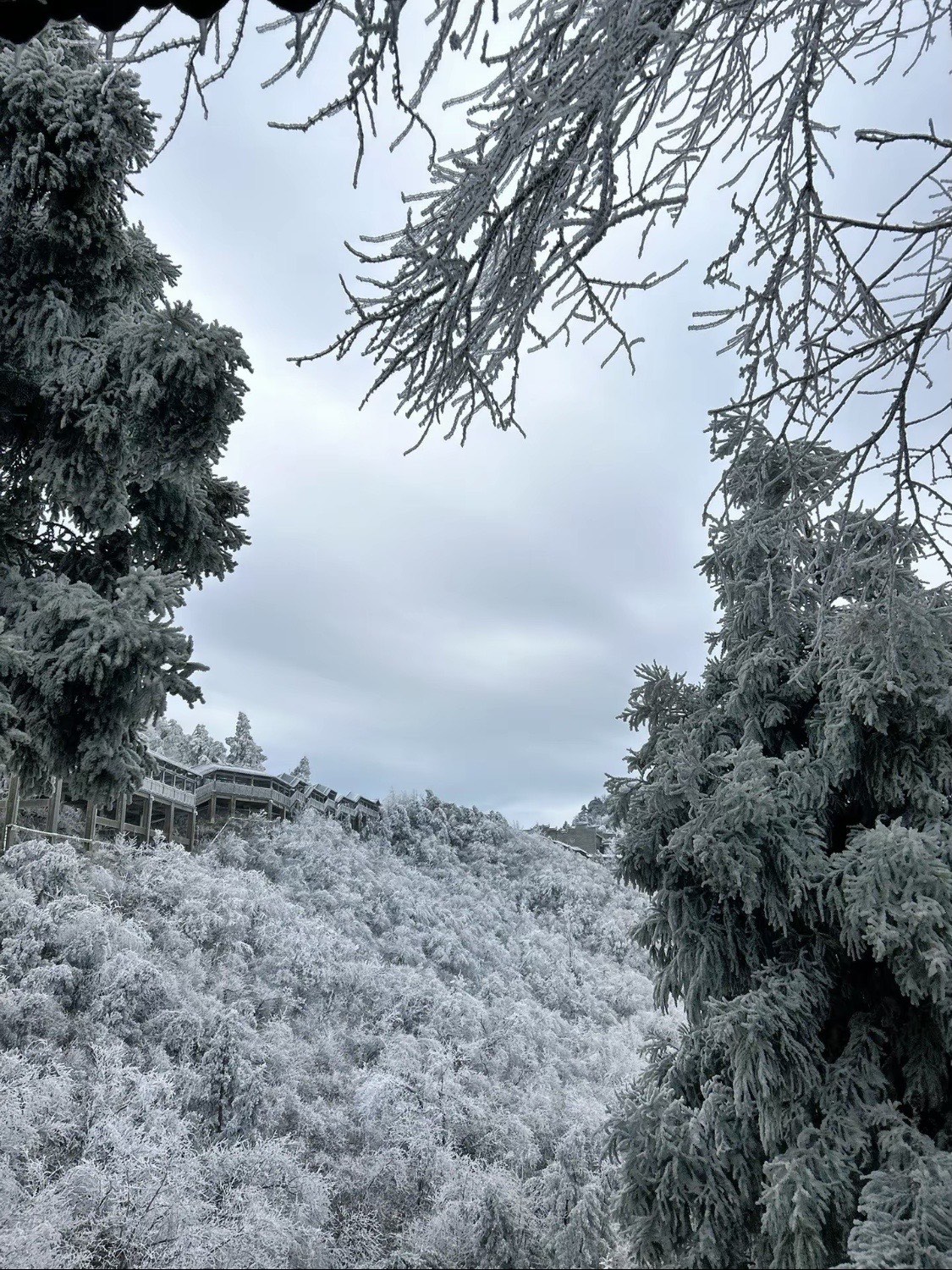 衡山下雪图片