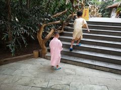 -龙达温泉生态城
