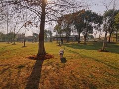 -上海海湾国家森林公园